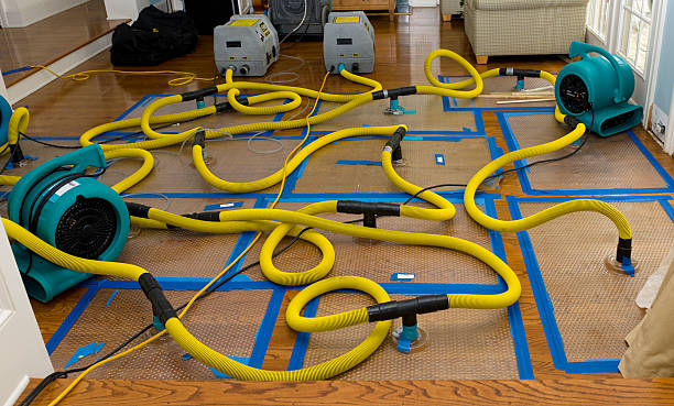 Professional Crawl Space Water Removal technician working in Waupun, WI